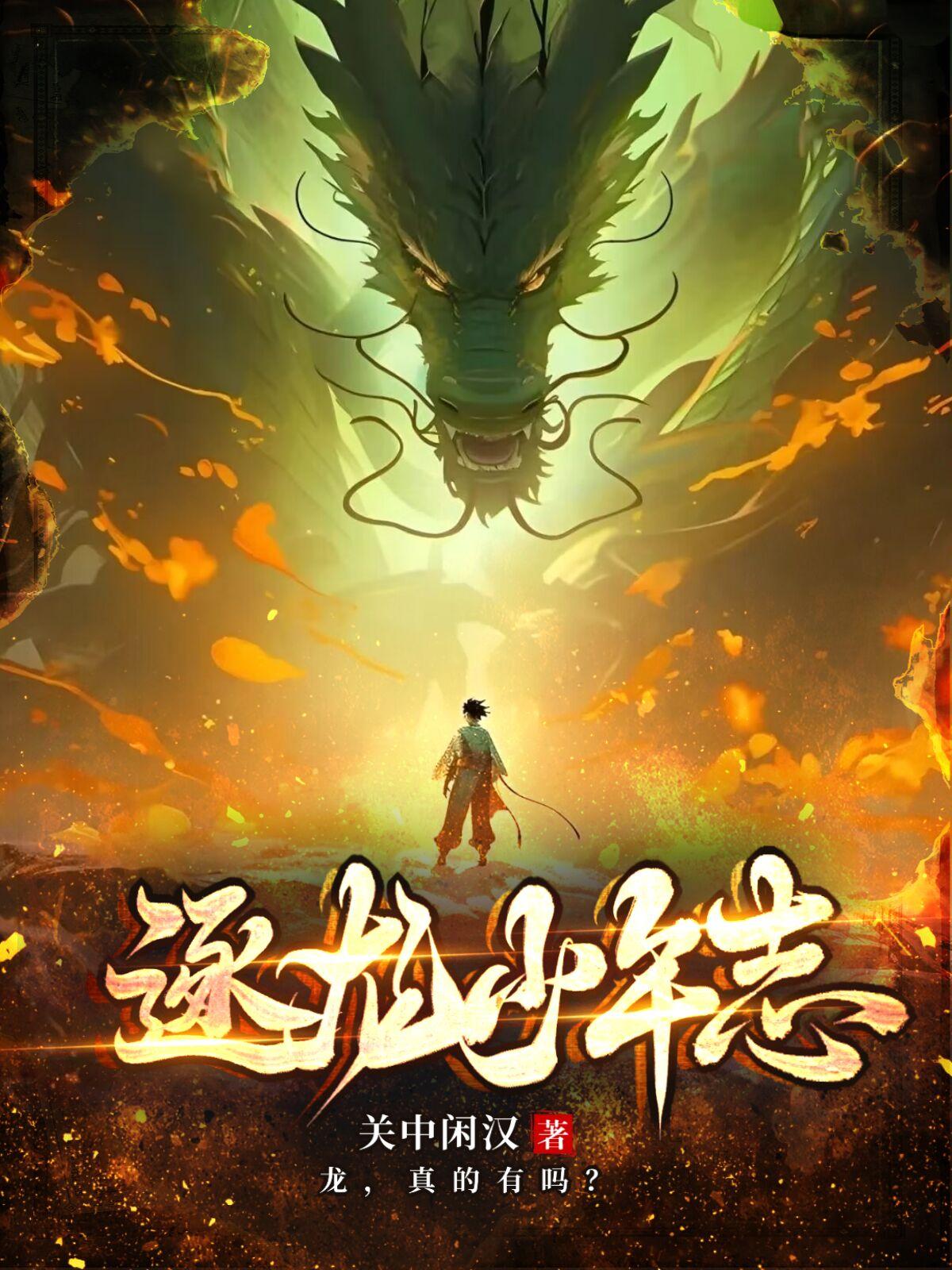 逐龙 饭卡
