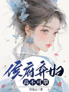 侯府弃妃作者紫衣若水