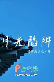 月光像情网简谱歌谱