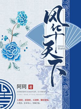 风华天下夙执小说
