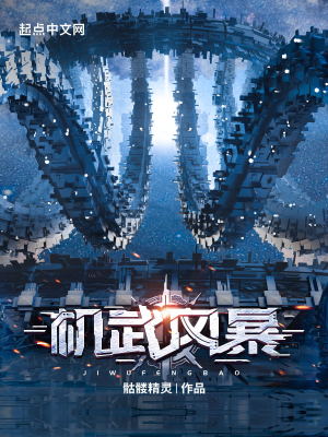 机武风暴 txt全文免费阅读